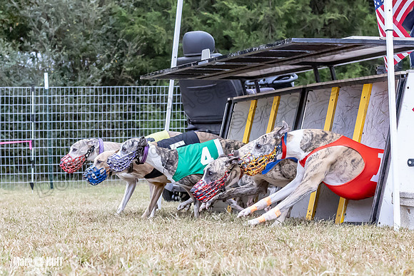 Program 1 Race 4 Nitro Trillian Roxy Sadie-0530