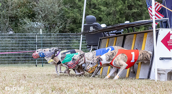 Program 1 Race 4 Nitro Trillian Roxy Sadie-0531