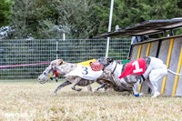 Program 1 Race -0513