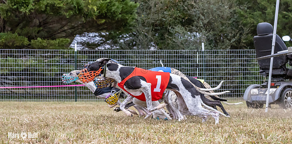 Program 1 Race 6 Tusi Bacon Danie Bandit Shimmy Kali-0572