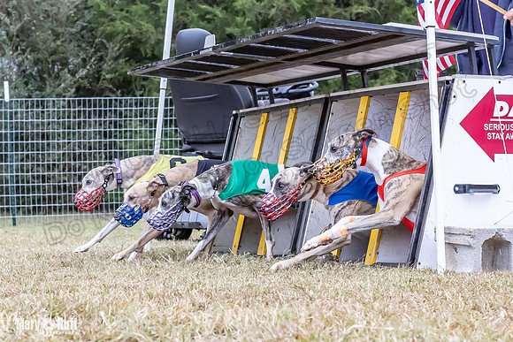 Program 1 Race 4 Nitro Trillian Roxy Sadie-0529