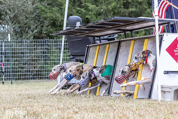 Program 1 Race 4 Nitro Trillian Roxy Sadie-0528