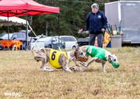 Program 4, Race 1 Bandit Elsa Stripe Kali Teak Nitro-3816