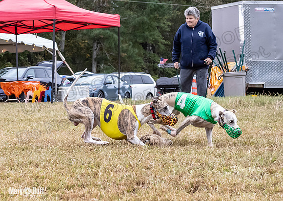 Program 4, Race 1 Bandit Elsa Stripe Kali Teak Nitro-3816