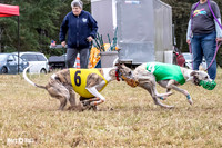 Program 4, Race 1 Bandit Elsa Stripe Kali Teak Nitro-3817