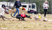 Program 4, Race 1 Bandit Elsa Stripe Kali Teak Nitro-3824