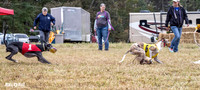 Program 4, Race 1 Bandit Elsa Stripe Kali Teak Nitro-3820