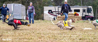 Program 4, Race 1 Bandit Elsa Stripe Kali Teak Nitro-3821