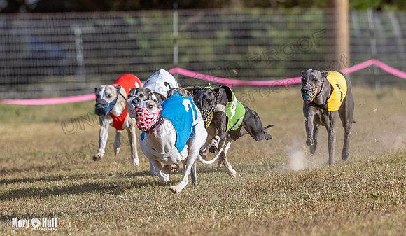 Program 4 Race 5 Soarin Tissy RileyW Rid Trillian Strummer-9261