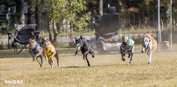 Program 4 Race 10 Remus Bender SweetNlow Grim Wanda-9480