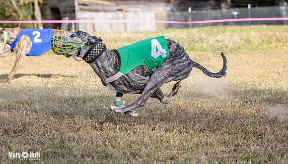 Program 4 Race 10 Remus Bender SweetNlow Grim Wanda-9523
