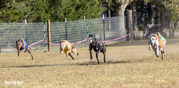 Program 4 Race 10 Remus Bender SweetNlow Grim Wanda-9495