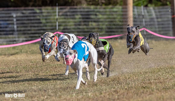 Program 4 Race 5 Soarin Tissy RileyW Rid Trillian Strummer-9260