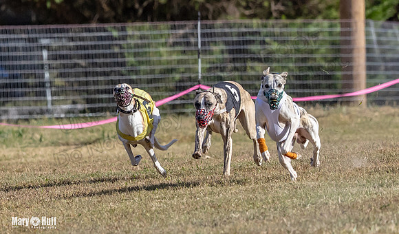 Program 4 Race 4 Bogie Emma Sherlock Nitro Stripe Piper-9209