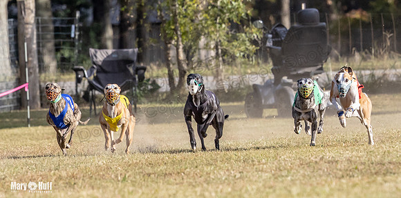 Program 4 Race 10 Remus Bender SweetNlow Grim Wanda-9483