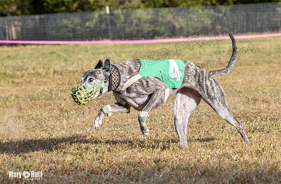 Program 4 Race 10 Remus Bender SweetNlow Grim Wanda-9520