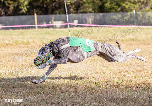 Program 4 Race 10 Remus Bender SweetNlow Grim Wanda-9521
