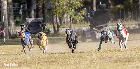 Program 4 Race 10 Remus Bender SweetNlow Grim Wanda-9482
