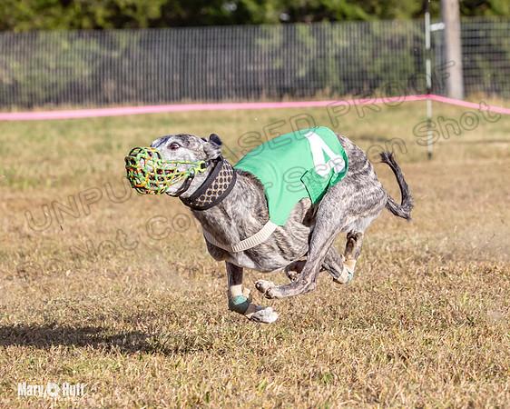 Program 4 Race 10 Remus Bender SweetNlow Grim Wanda-9519