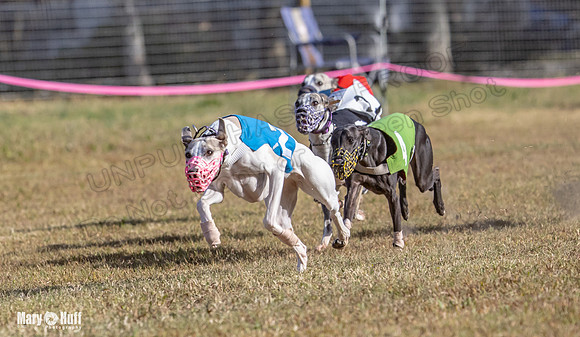 Program 4 Race 5 Soarin Tissy RileyW Rid Trillian Strummer-9266