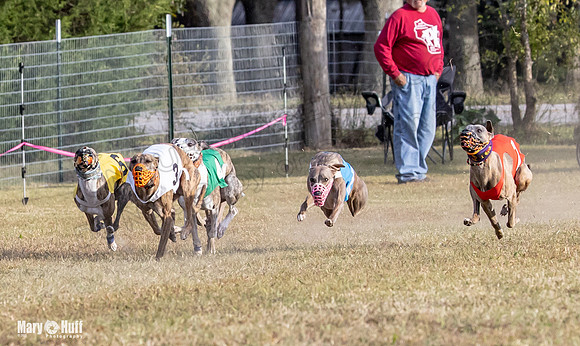 Program 4 Race 11 Brock Tara Dewey Romulus Kinely Cerce-9549
