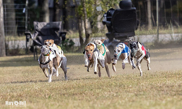 Program 4 Race 8 Wallie Shimmy Violet Maverick Conway Red-9395