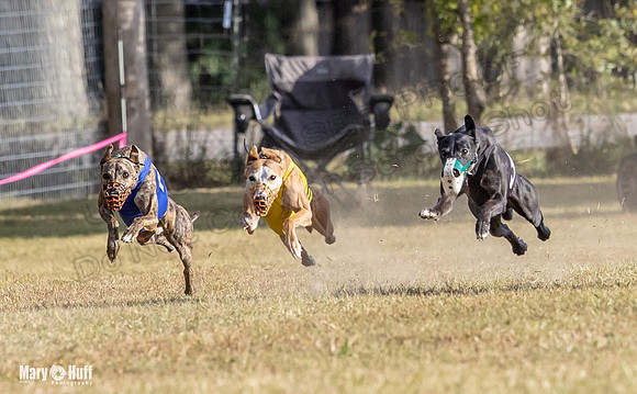 Program 4 Race 10 Remus Bender SweetNlow Grim Wanda-9484