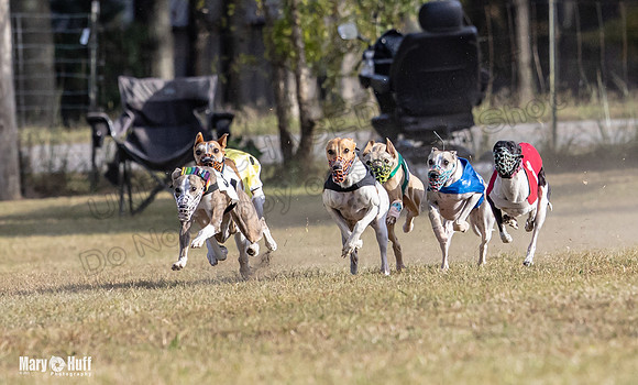 Program 4 Race 8 Wallie Shimmy Violet Maverick Conway Red-9394