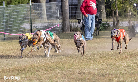 Program 4 Race 11 Brock Tara Dewey Romulus Kinely Cerce-9548