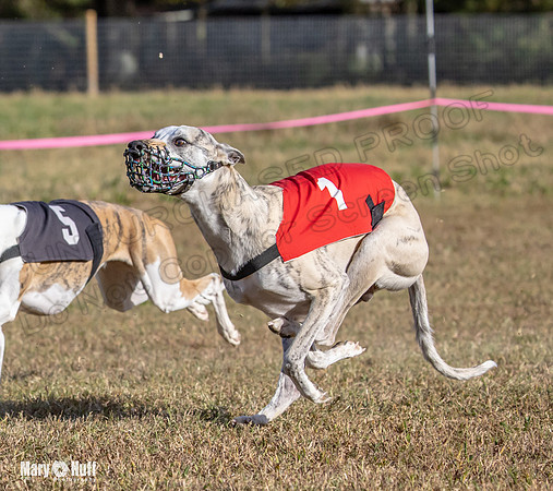 Program 4 Race 6 Pedro Sneakers Mimic Pearl Dancie Sadie-9325