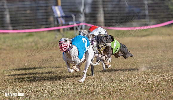 Program 4 Race 5 Soarin Tissy RileyW Rid Trillian Strummer-9265