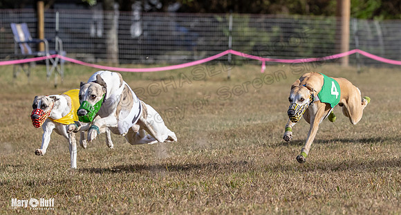 Program 4 Race 7 Roxy Bunny Eagle Player Jethro Darya-9363