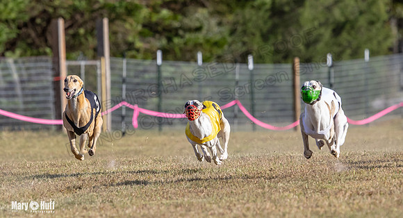 Program 4 Race 7 Roxy Bunny Eagle Player Jethro Darya-9349