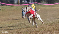 Program 4 Race 1 Swizzle CaraCara Mizuno Teak Clara Zen-9103
