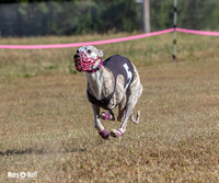 Program 4 Race 1 Swizzle CaraCara Mizuno Teak Clara Zen-9117