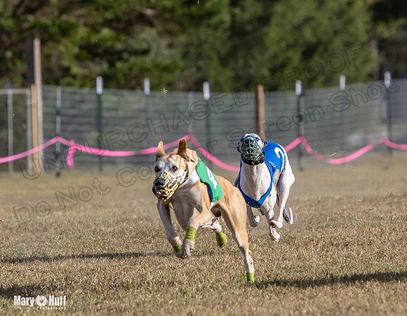 Program 4 Race 7 Roxy Bunny Eagle Player Jethro Darya-9358