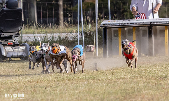 Program 4 Race 11 Brock Tara Dewey Romulus Kinely Cerce-9532