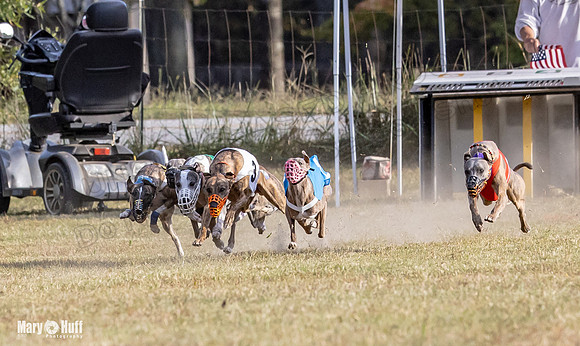Program 4 Race 11 Brock Tara Dewey Romulus Kinely Cerce-9533