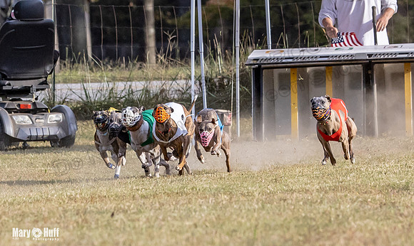 Program 4 Race 11 Brock Tara Dewey Romulus Kinely Cerce-9531