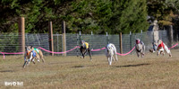 Program 4 Race 1 Swizzle CaraCara Mizuno Teak Clara Zen-9085