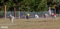 Program 4 Race 1 Swizzle CaraCara Mizuno Teak Clara Zen-9084