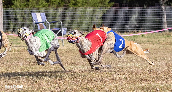 Program 4 Race 9 Veela EllieMae Margie RileyC Damsel-9462