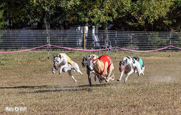 Program 4 Race 2 Raz Elsa Ella Chuck Bexley Bumble-9136