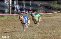 Program 4 Race 1 Swizzle CaraCara Mizuno Teak Clara Zen-9095
