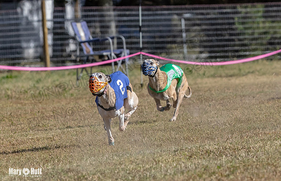 Program 4 Race 1 Swizzle CaraCara Mizuno Teak Clara Zen-9095