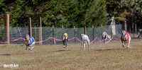 Program 4 Race 1 Swizzle CaraCara Mizuno Teak Clara Zen-9083