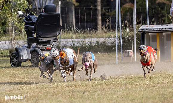 Program 4 Race 11 Brock Tara Dewey Romulus Kinely Cerce-9535