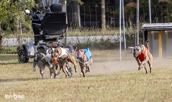 Program 4 Race 11 Brock Tara Dewey Romulus Kinely Cerce-9536