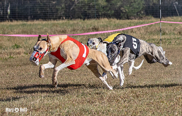 Program 4 Race 2 Raz Elsa Ella Chuck Bexley Bumble-9146