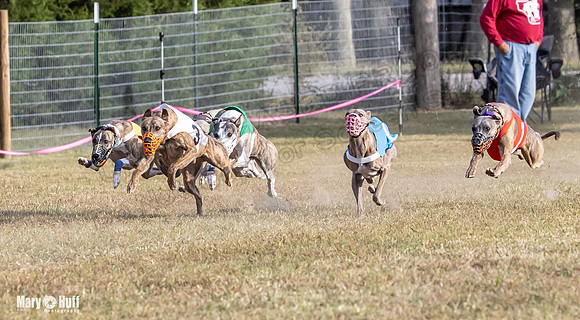 Program 4 Race 11 Brock Tara Dewey Romulus Kinely Cerce-9551